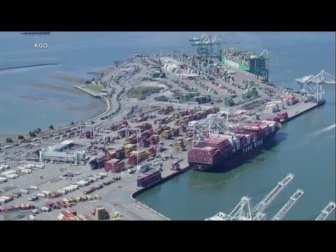 Stock market rebounds amid Trump tariffs