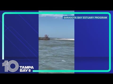 Midnight Pass stays open, at least for now