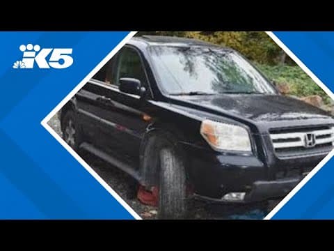 Man found dead near car on Halloween