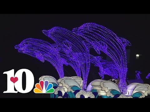 Zoo Knoxville's 'Zoo Lights' event features new activities this year