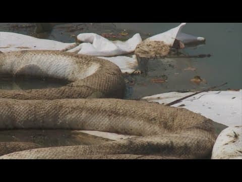 Gov. Landry, EPA to give updates on Roseland Cleanup After Smitty's Supply Explosion