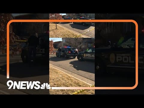 Boulder police shoot dog after it mauls owner