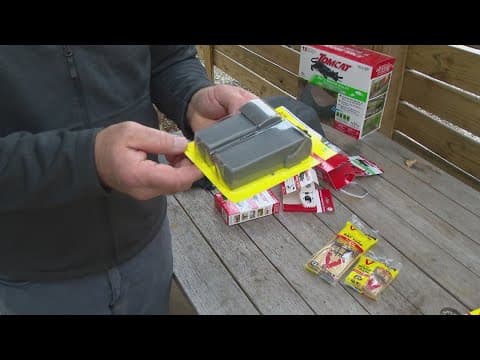 Pat Sullivan's tips for controlling rats, mice
