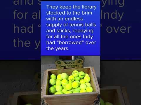 Jefferson Park Dog Library