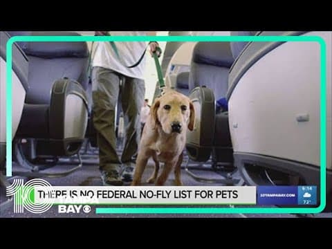 There’s no federal no-fly list for pets, but airlines can deny a pet from boarding
