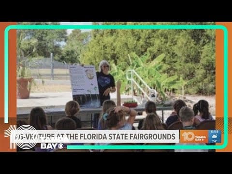 Happening This Week: Florida State Fairgrounds and Sparkman Wharf