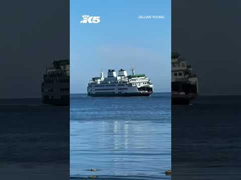 Navy ship wake sends Washington ferry rocking