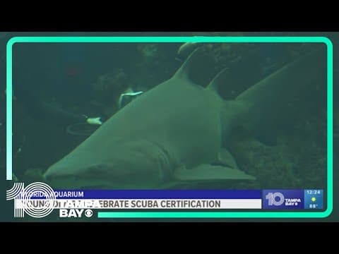 7 kids now certified in scuba diving