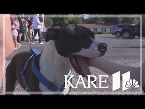 Nationwide to drop 100K insurance policies