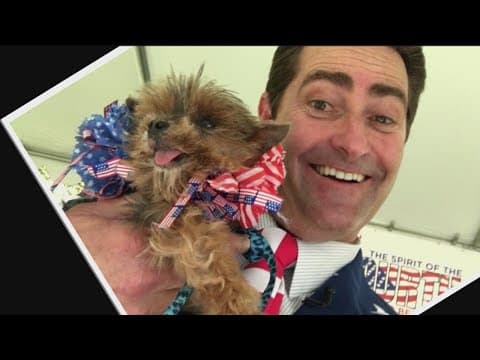 Zevely Zone Throwback: Patriotic Pets in 2017