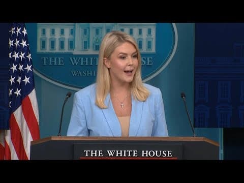 White House sidesteps Pope Leo's past criticisms