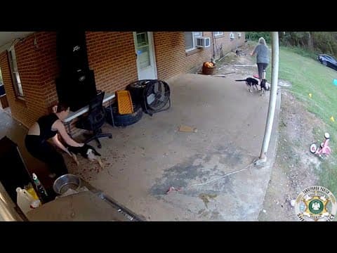 Women drive up to Loranger home and steal puppies from backyard, sheriff says