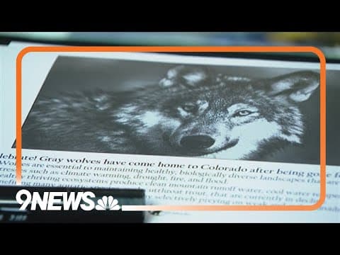 Documentary celebrates Colorado's wolf reintroduction