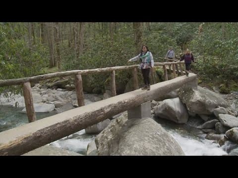 Cosby area reopens from construction in Great Smoky Mountains