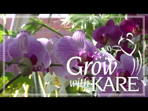 Grow with KARE: Trendy houseplants for 2023