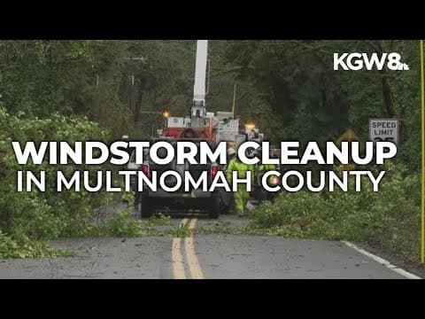 Portland metro area cleaning up after windstorm downs trees, power lines