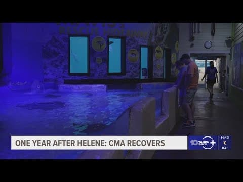 Clearwater Marine Aquarium recovers a year after Hurricane Helene