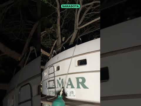 Boat washes up into Sarasota park due to #Helene impact #10tampabay #tampabay #florida