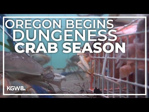 Oregon crab season gets the green light after nearly six weeks of delays