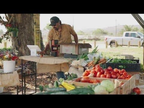 Pixca Farm continues to bring fresh local food to the Tijuana River Valley community
