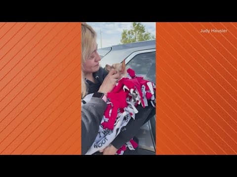 Chihuahua reunites with his family after complicating his own rescue
