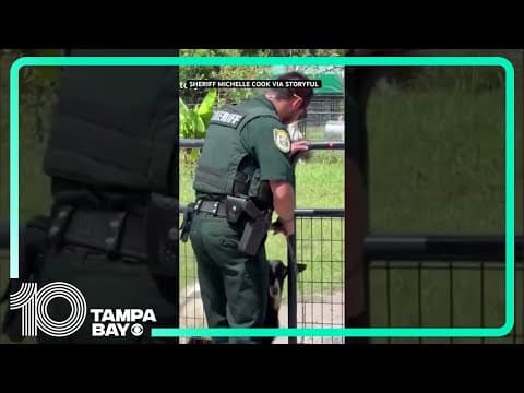 Persistent goat won’t stop head-butting Florida deputy