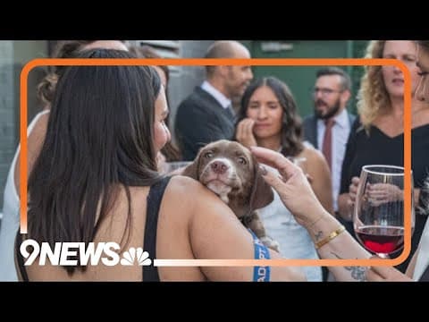 Annual Wags and Whiskers Gala this weekend