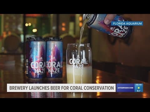 Florida Aquarium, Coppertail Brewing reintroduce brew to support coral conservation efforts