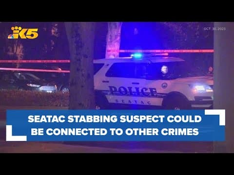 Suspect charged with murder in SeaTac stabbing count be connected to other stabbings in the area