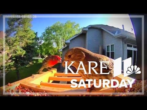 Gadgets and tech tools for animal lovers