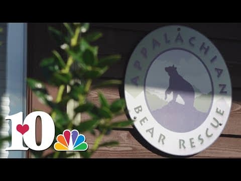 TWRA euthanizes 8 cubs after discussions that did not include the rescue, 5 more to be euthanized