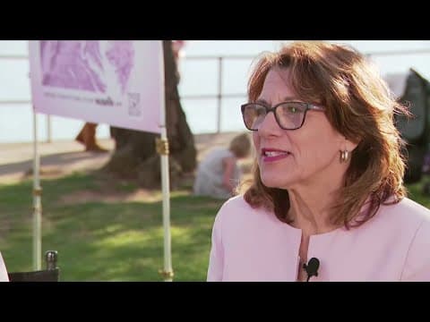 Cherry Blossom Festival VP previews spring events