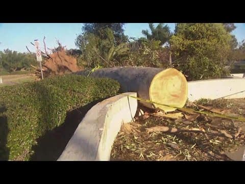 Gusty winds knock down trees; cause traffic headaches across San Diego County