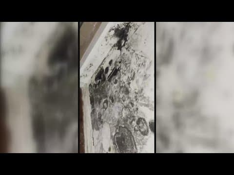 Mother says her apartment's mold damage cost her $1500