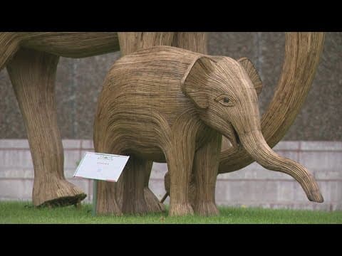 'The Great Elephant Migration' featuring 100 life-sized sculptures arrives in Houston