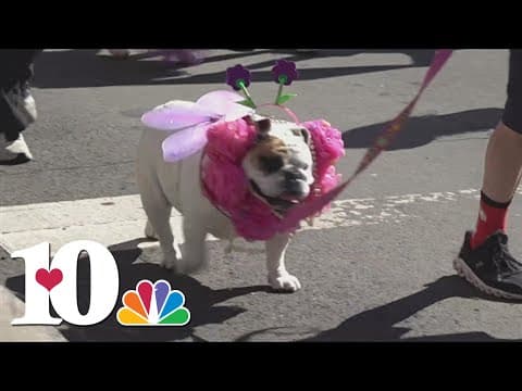 Mardi Growl takes over downtown Knoxville