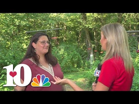 Ijams Hummingbird Festival returns this Saturday