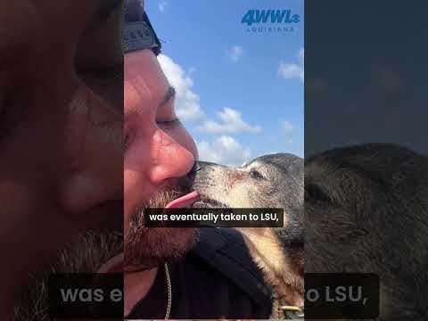 Memorial for beloved New Orleans bartender Michael Milam set for August