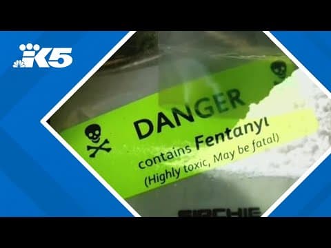 A woman's toddler died of a fentanyl overdose in her bed. She is now charged with manslaughter