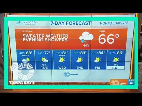 10 Weather: Chilly and mostly cloudy Sunday