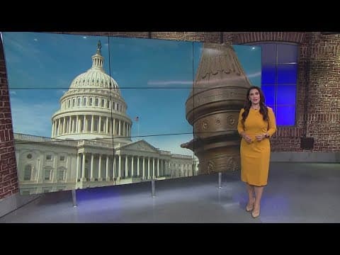 Non-citizen voting a key issue at stake ahead of shutdown deadline