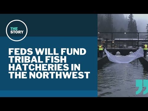 Northwest tribes win federal funding to upgrade salmon hatcheries