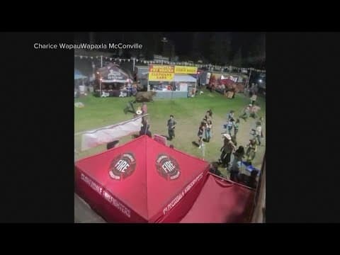 Bull escapes rodeo arena in Oregon