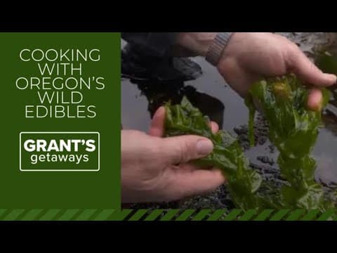 Foraged feast: Serving up Oregon's wild foods