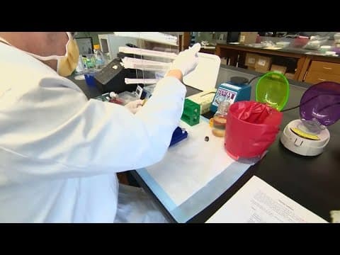 Universal cancer vaccine is in the works