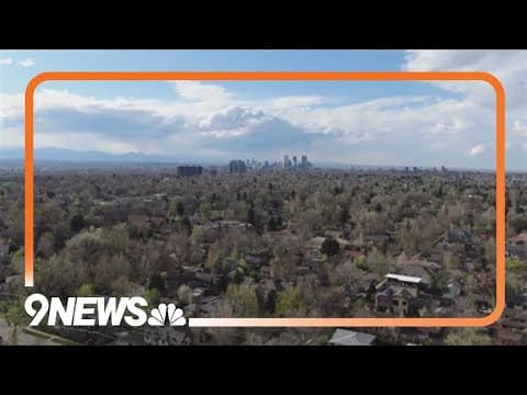 New episode of Business Buzz premieres Monday on 9NEWS+