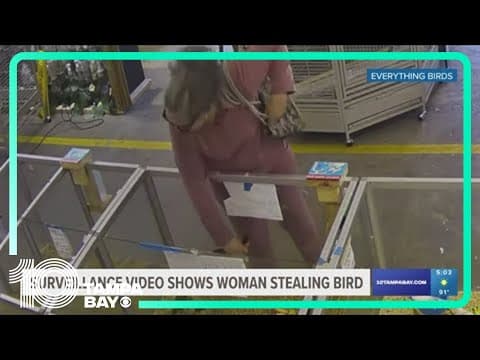 Woman accused of stealing exotic bird to stay in jail