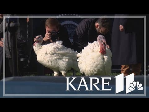 Biden pardons Minnesota turkeys