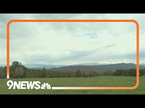 Colorado Parks and Wildlife working to euthanize at least another wolf from troubled Copper Creek pa