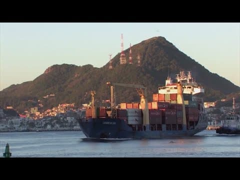 'Stay vigilant': Financial experts talk about impact of tariffs on stock market